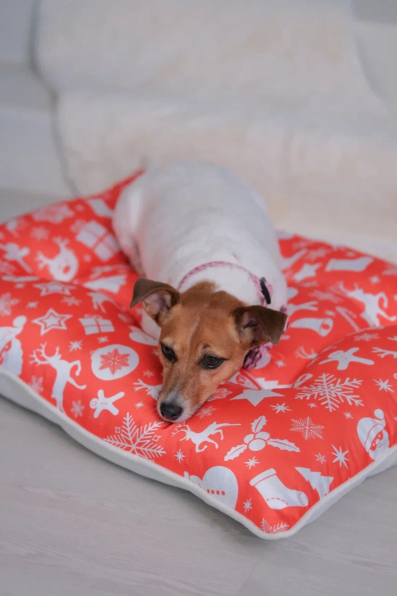 Santa Dog Floor Pillow