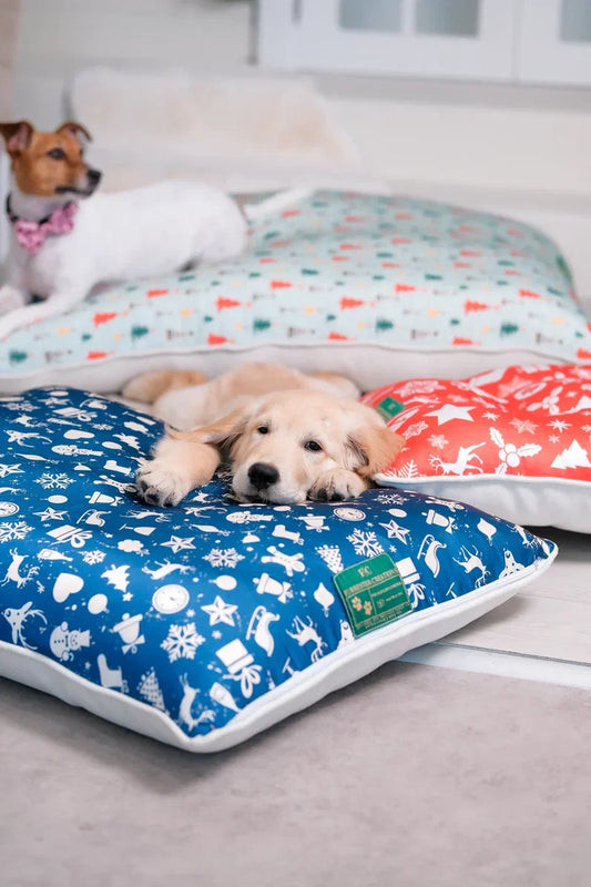 Snowman Festive Dog Floor Pillow