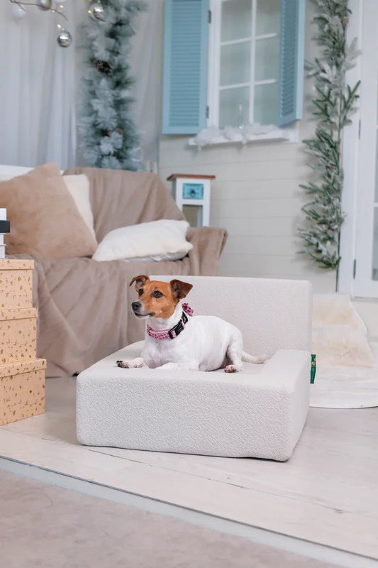 Beige Dog Sofa