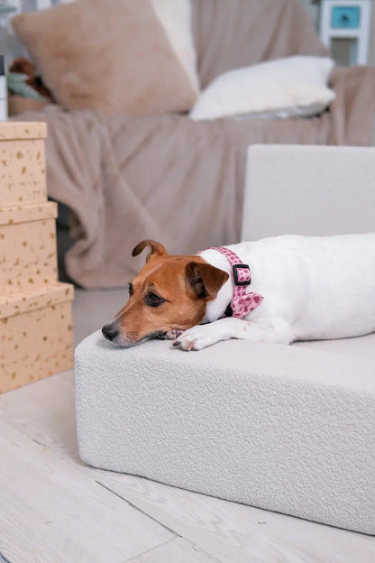 Beige Dog Sofa